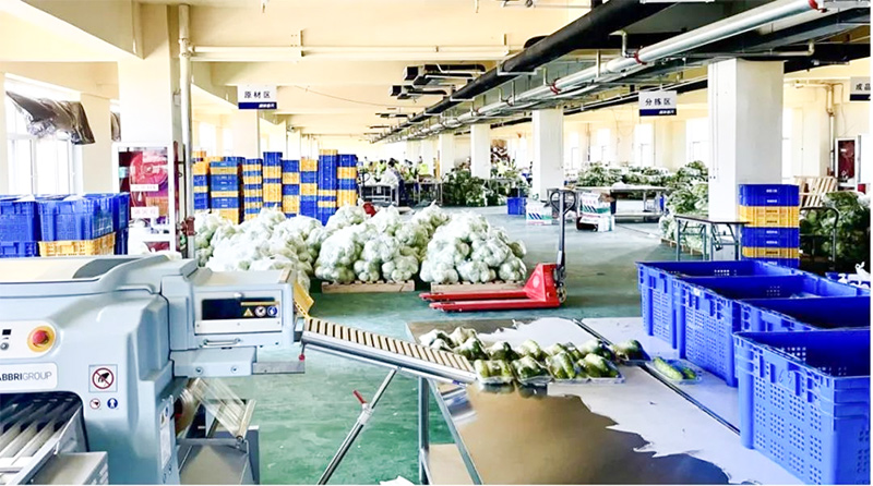 夢蝶科技案例分享：冷鏈物流企業(yè)跑步入局，數(shù)字化逐鹿百億級(jí)賽道